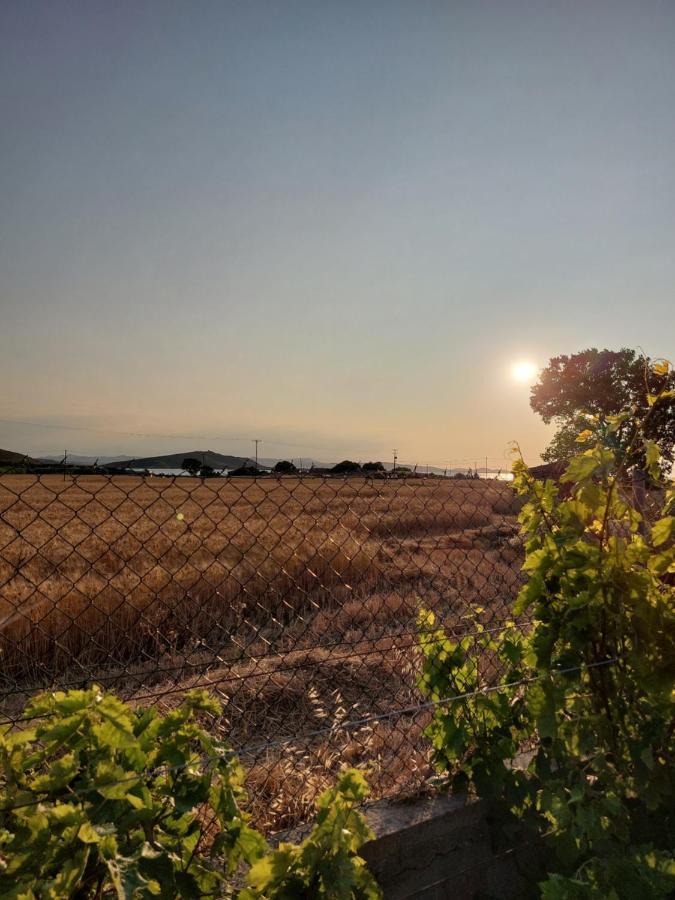 Seaview Saravari Studios Agios Alexandros Exterior foto